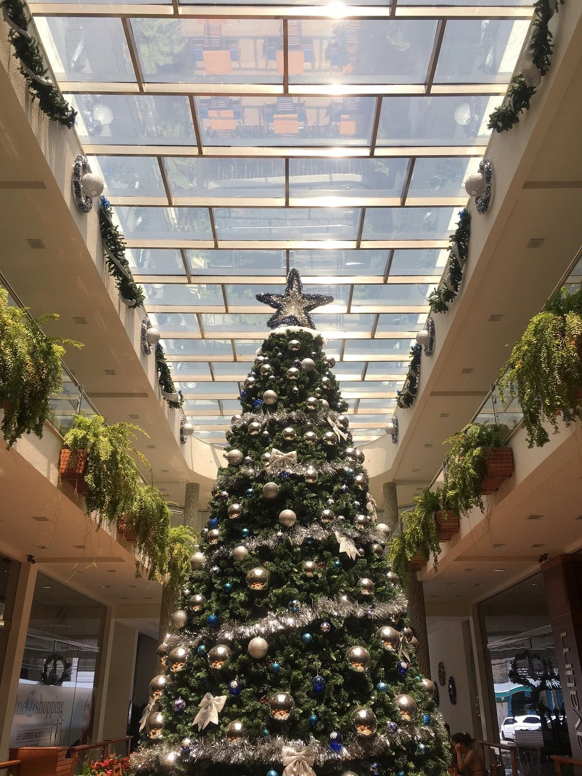 Blue 22 Shopping