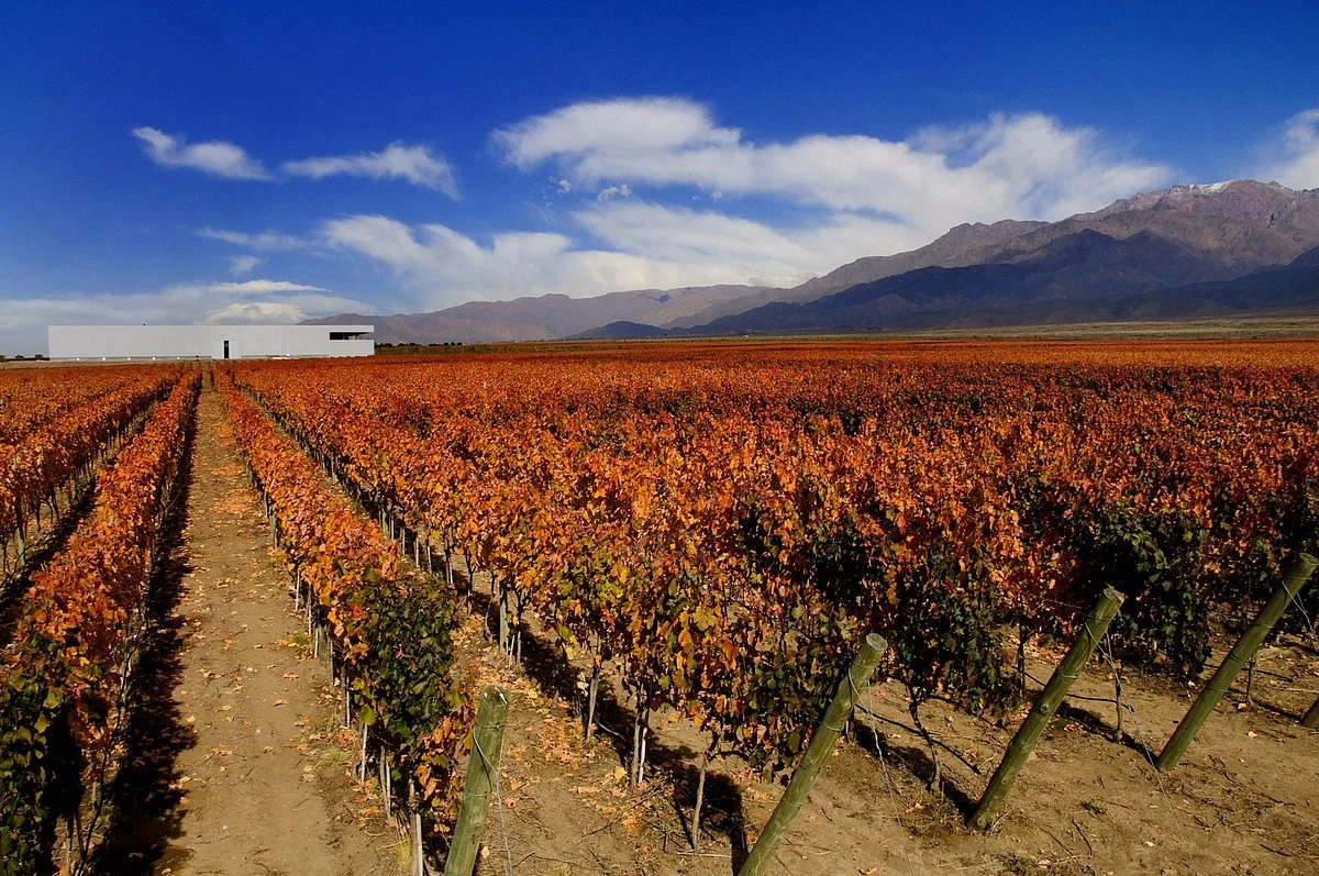 Clos de los Siete