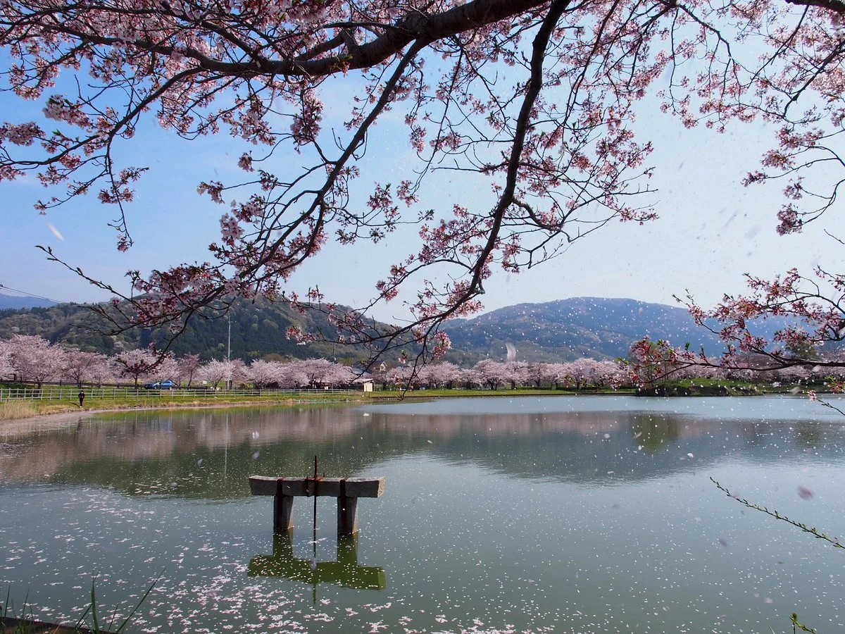 Hojo Oike Pond