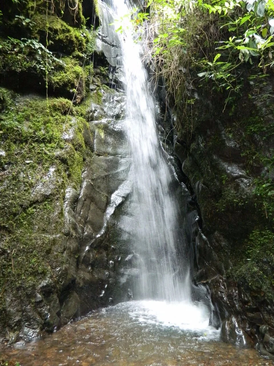 Sendero Ecologico Las Brumas