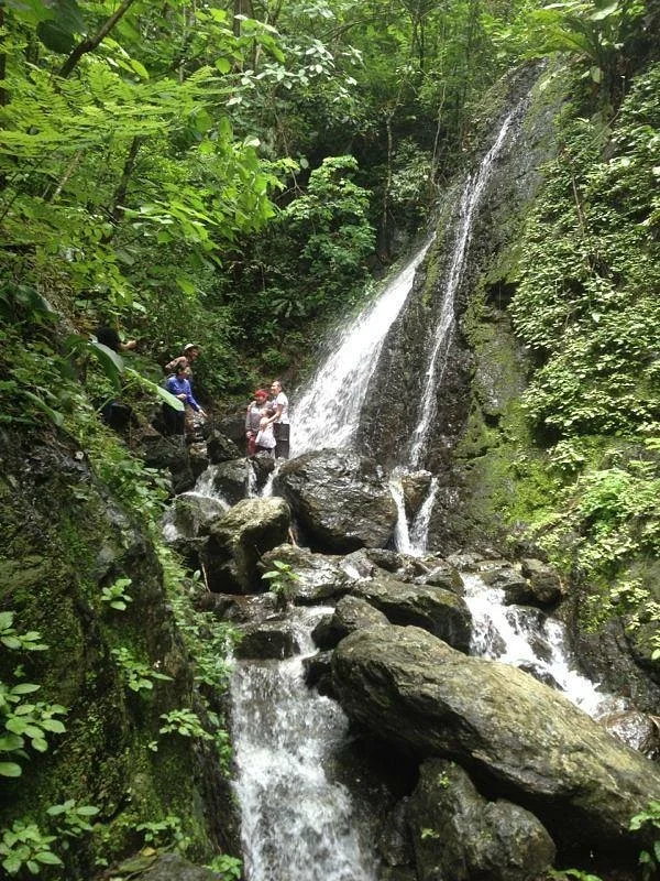 Reserva Ecologica Manglares Churute
