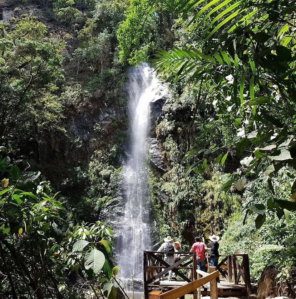 Cascadas de Cocora