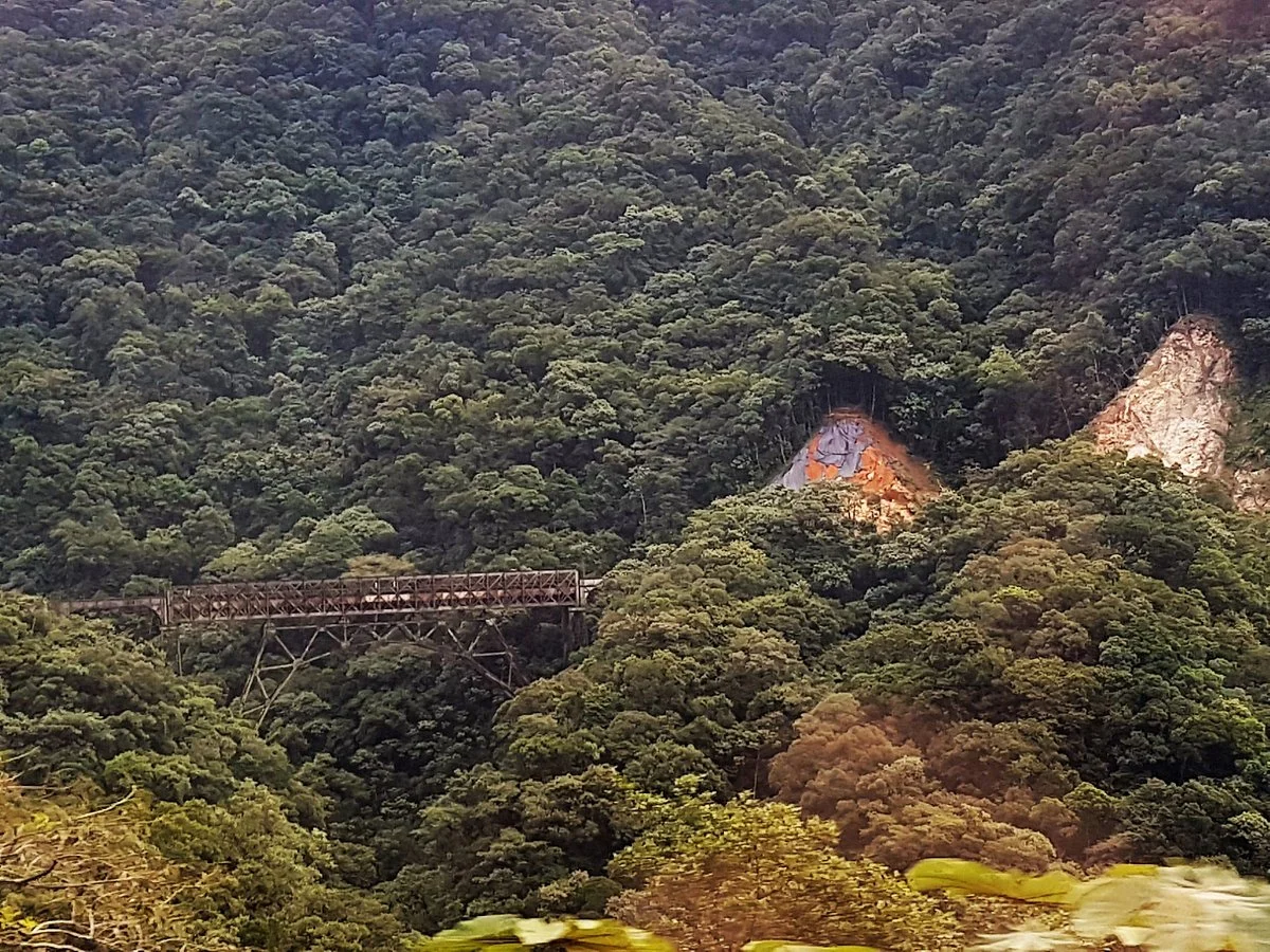 Ponte São João
