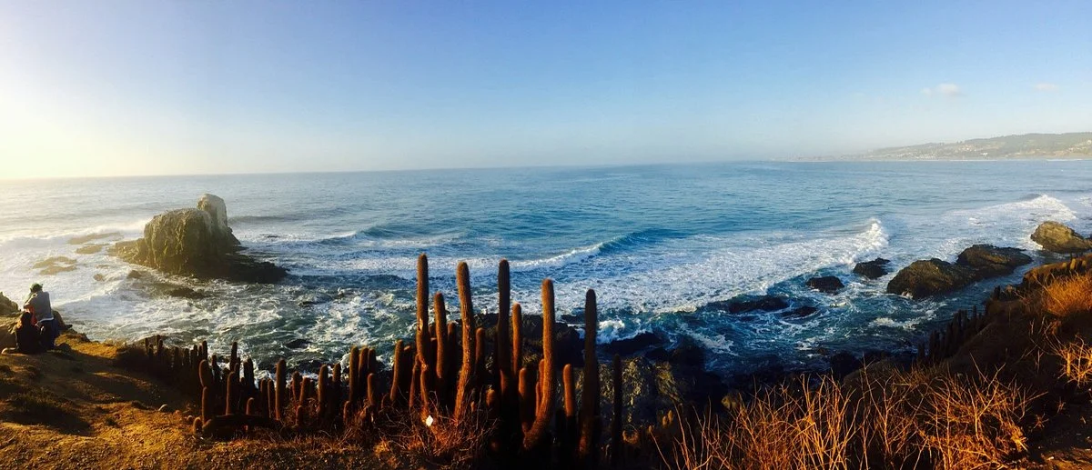 Punta De Lobos