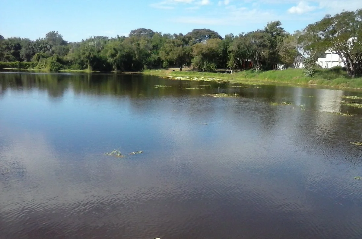 Parque De La Democracia