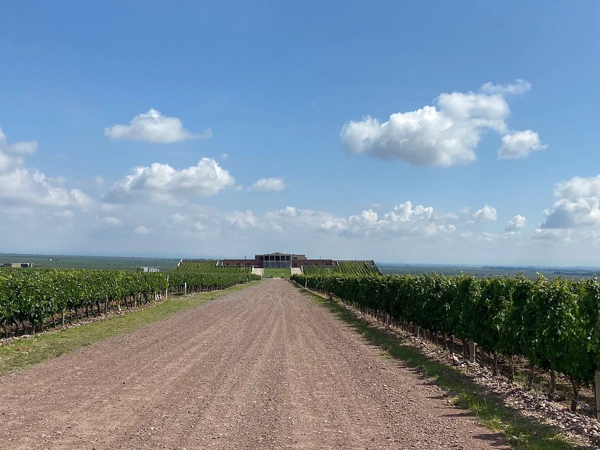 Bodega Monteviejo