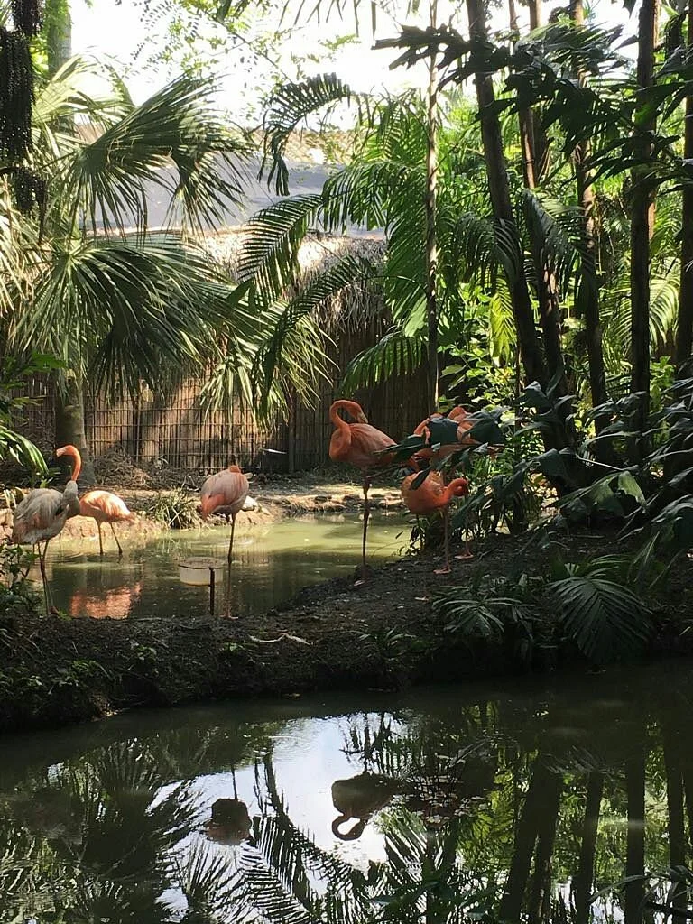 El Pantanal
