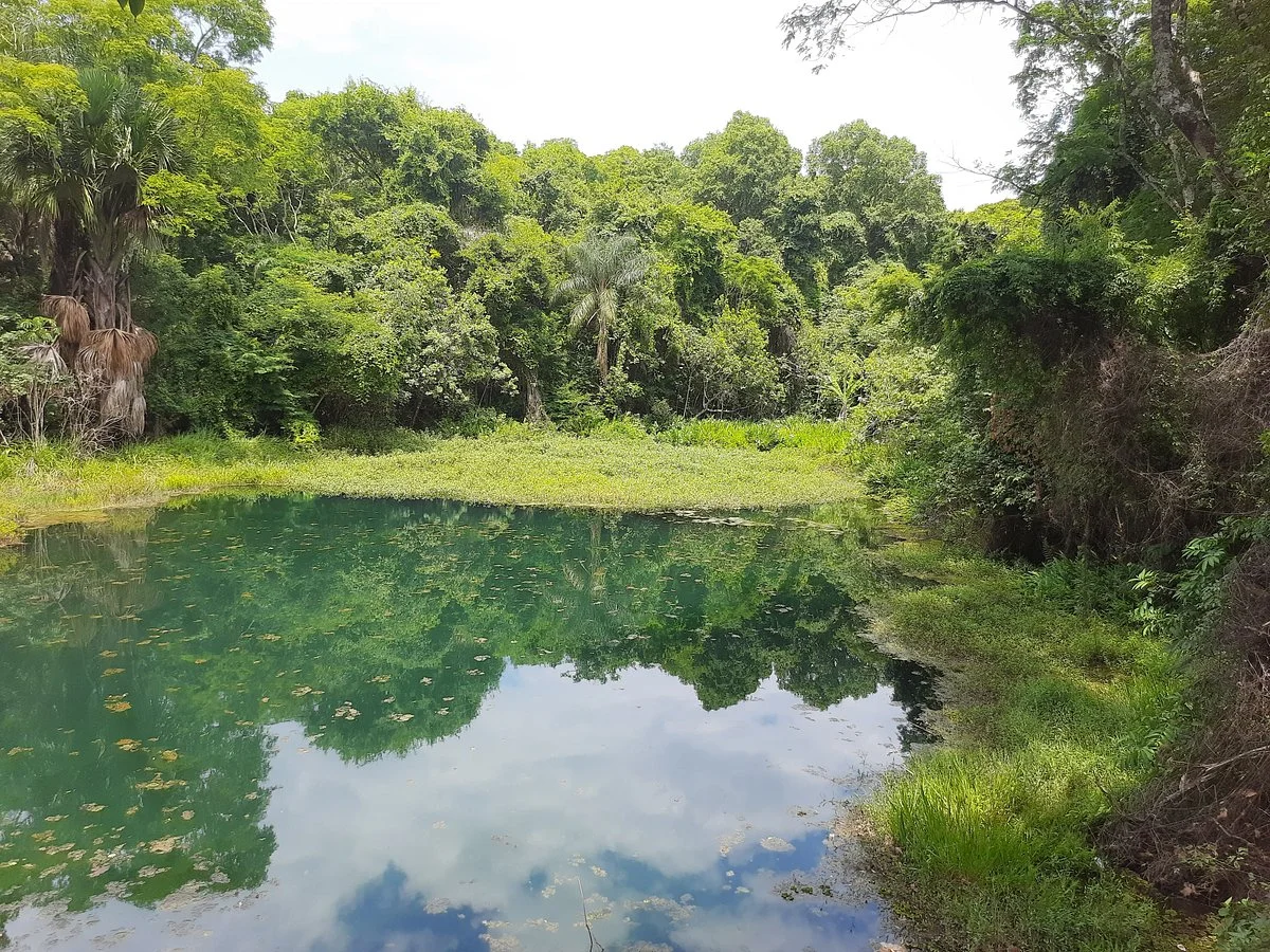 Parque Olhos D'agua
