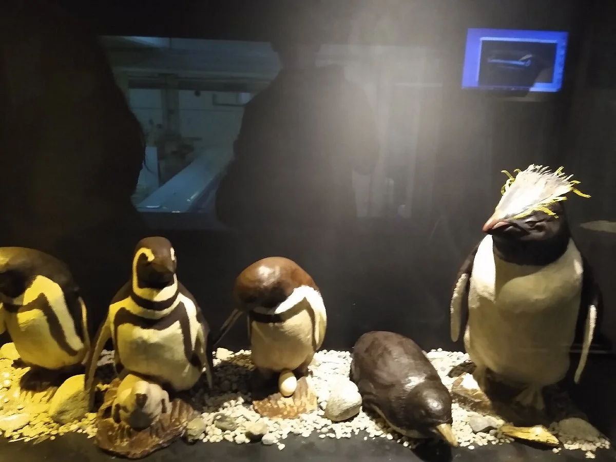 Havanna Museo del Chocolate