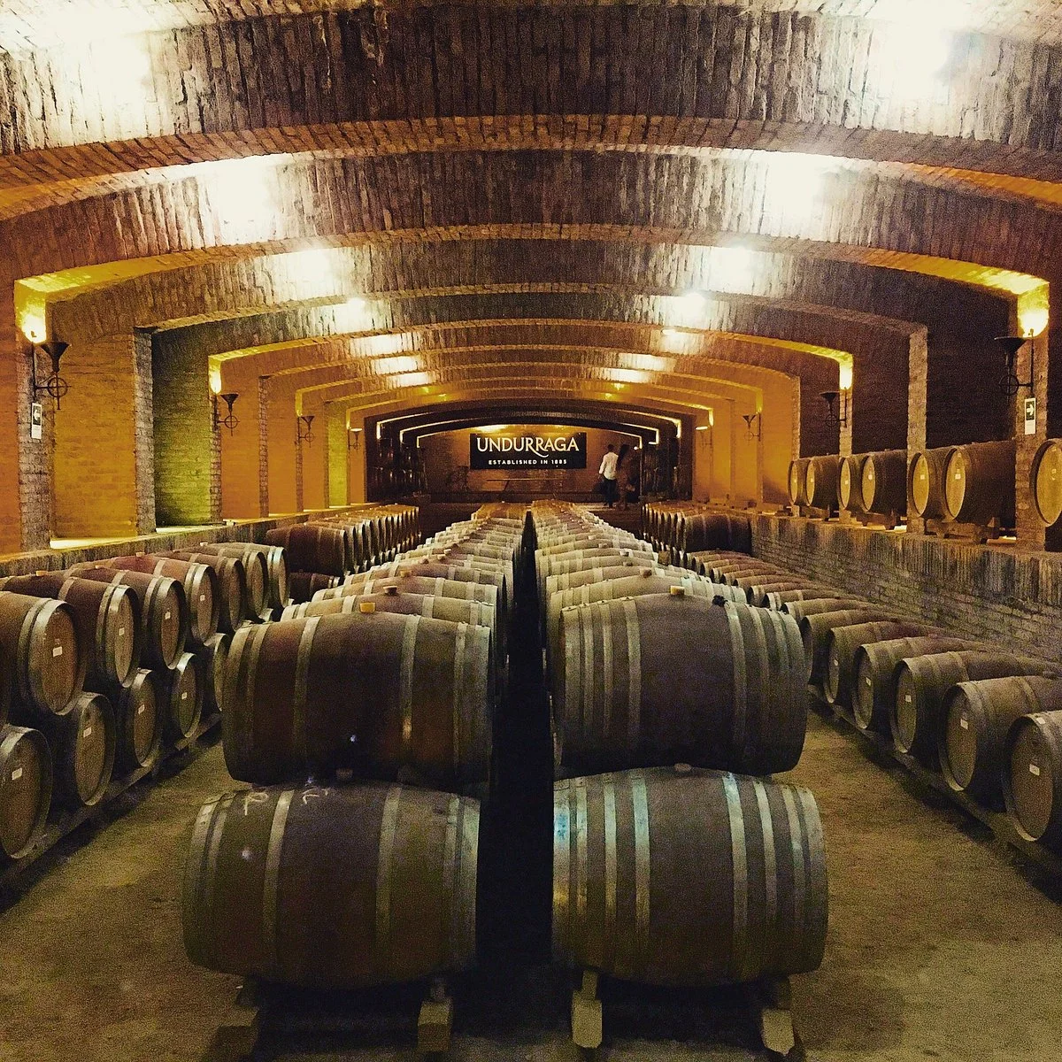 Vina Undurraga