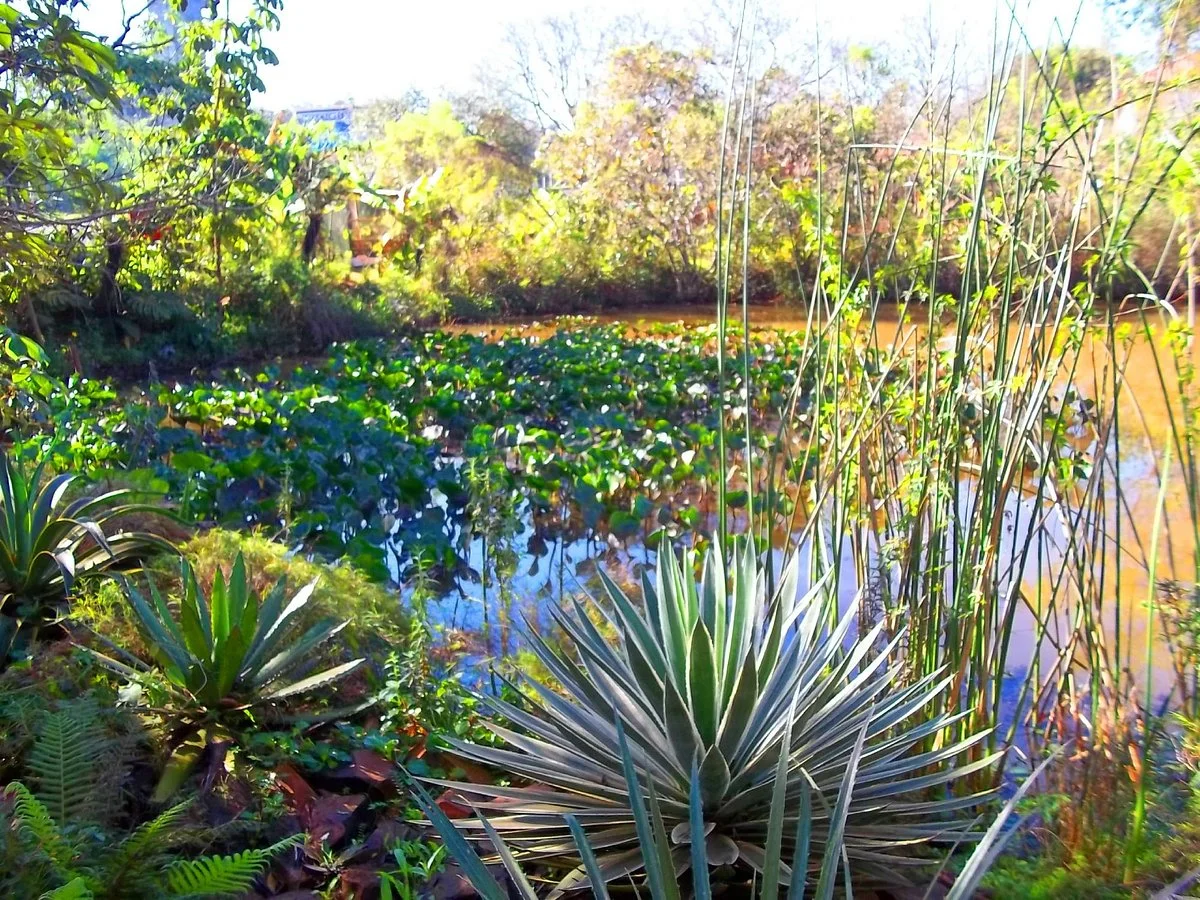 Bio Centro Iguazu