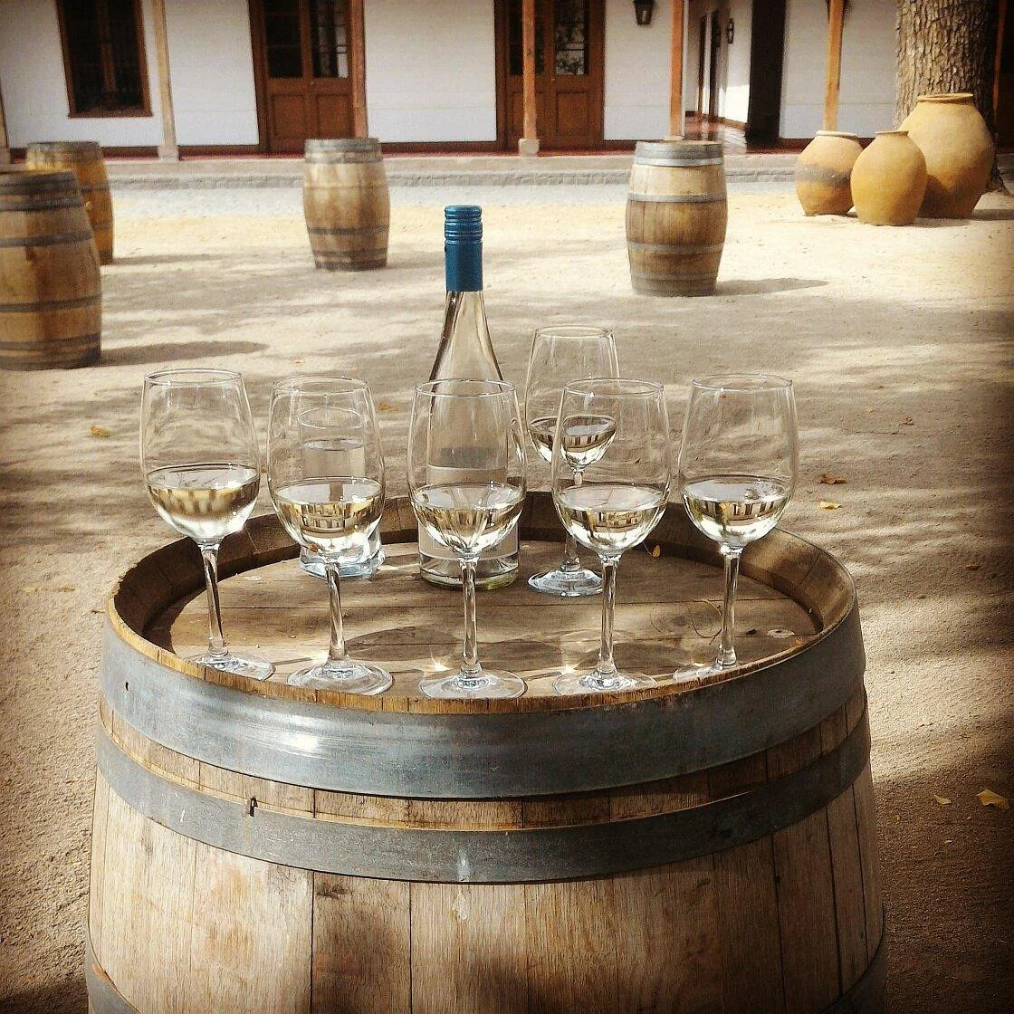 Vina Santa Carolina