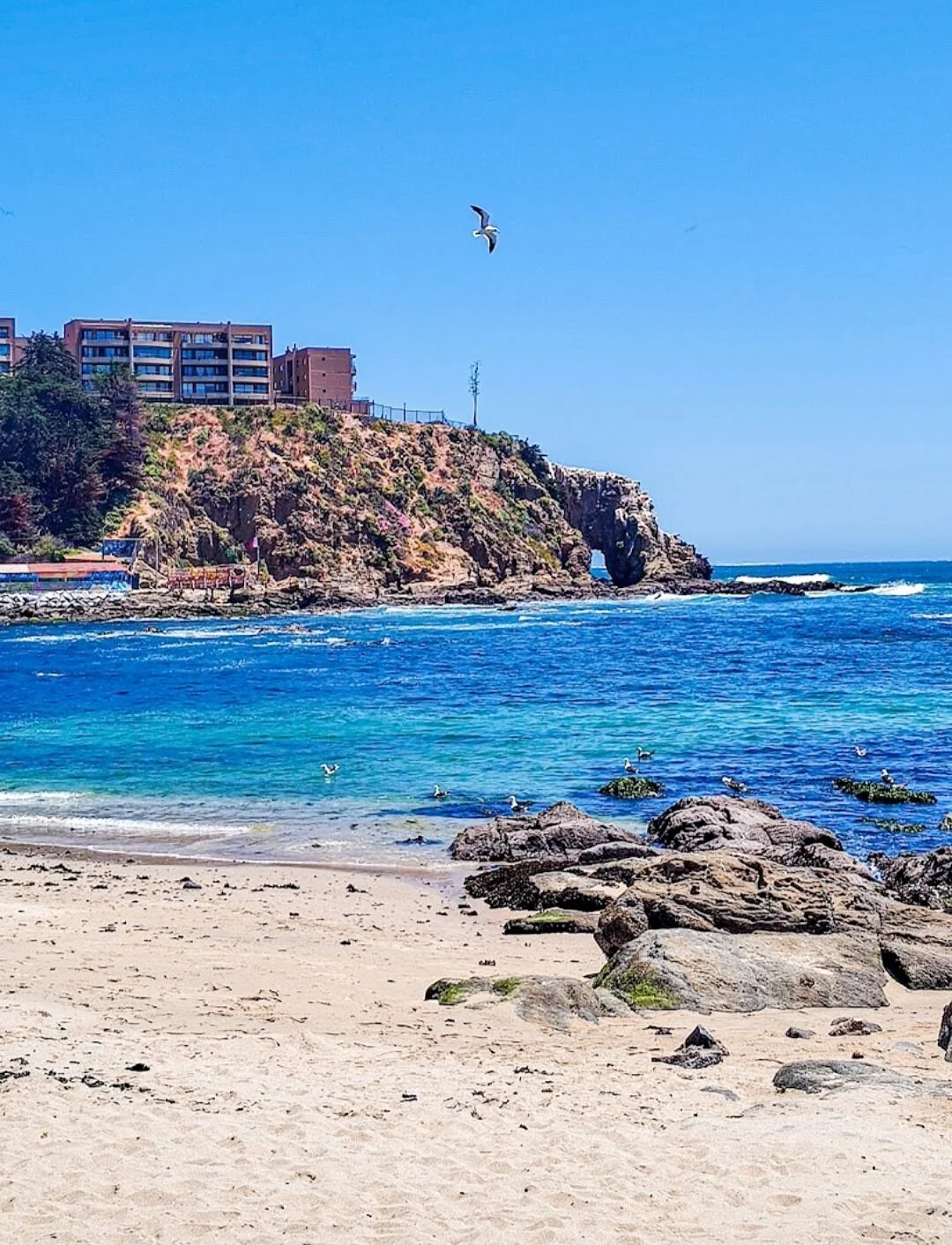 Caleta Horcón