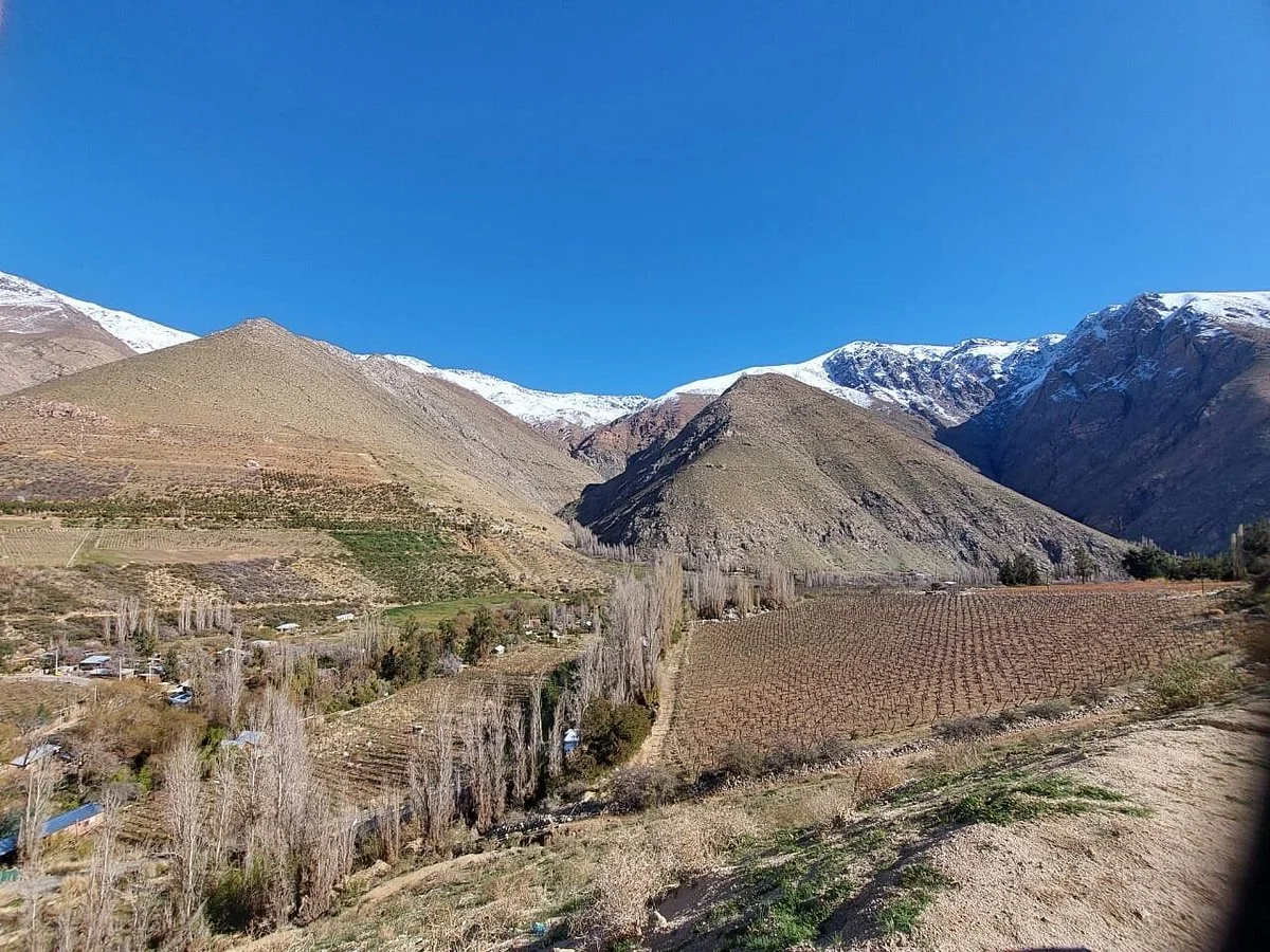 Alcohuaz Vineyards