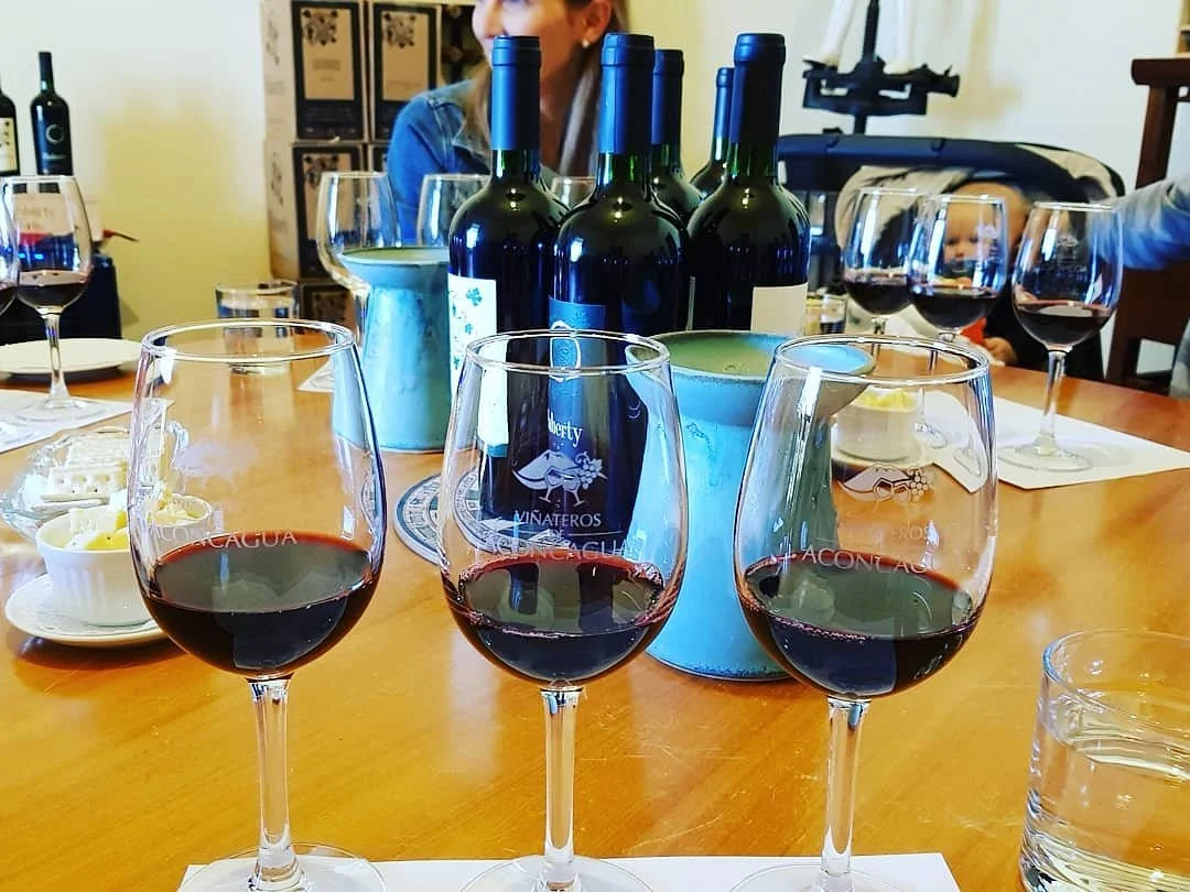 Flaherty Wines