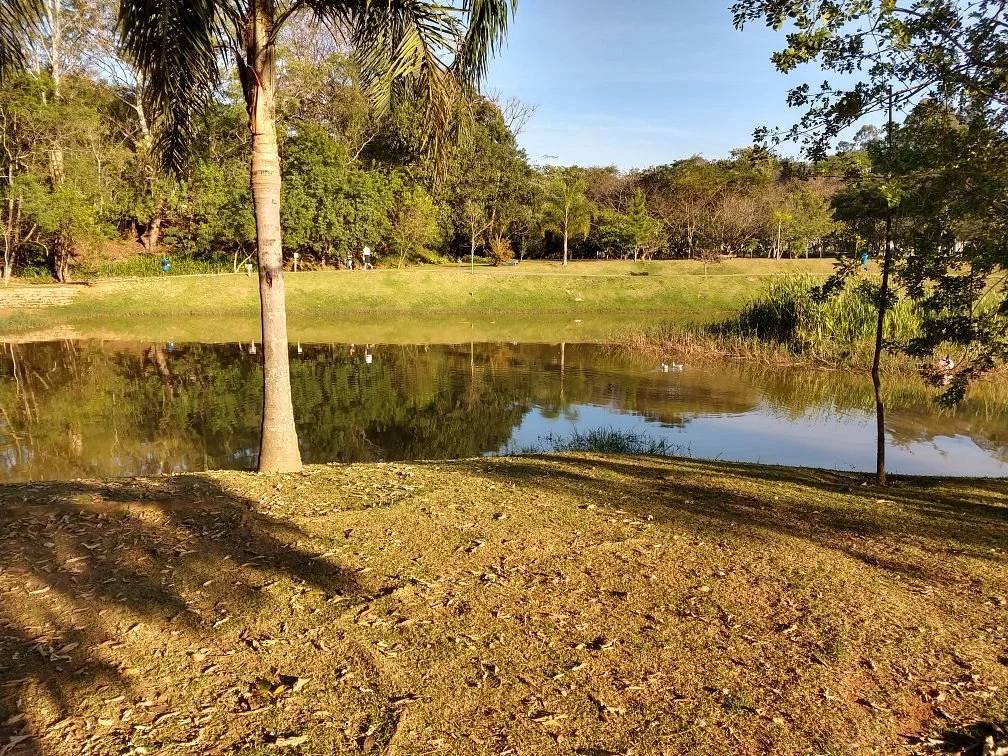Teresa Maia Park