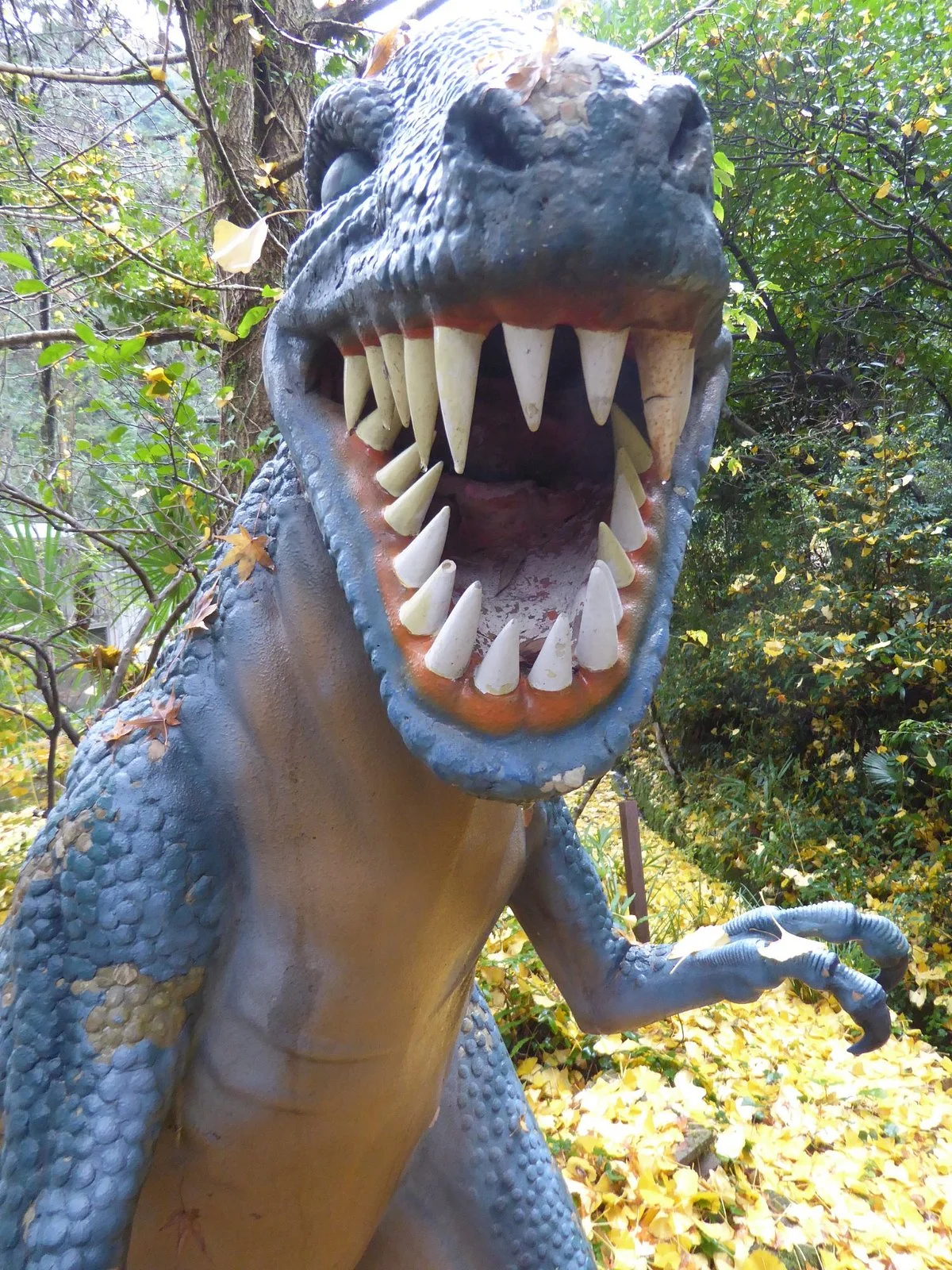 Wonder Museum