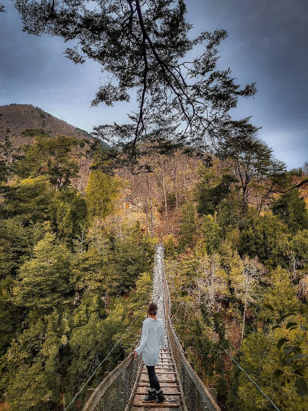 Pasarela Puente Basa Grande