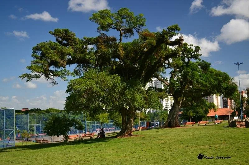 Parque Germania