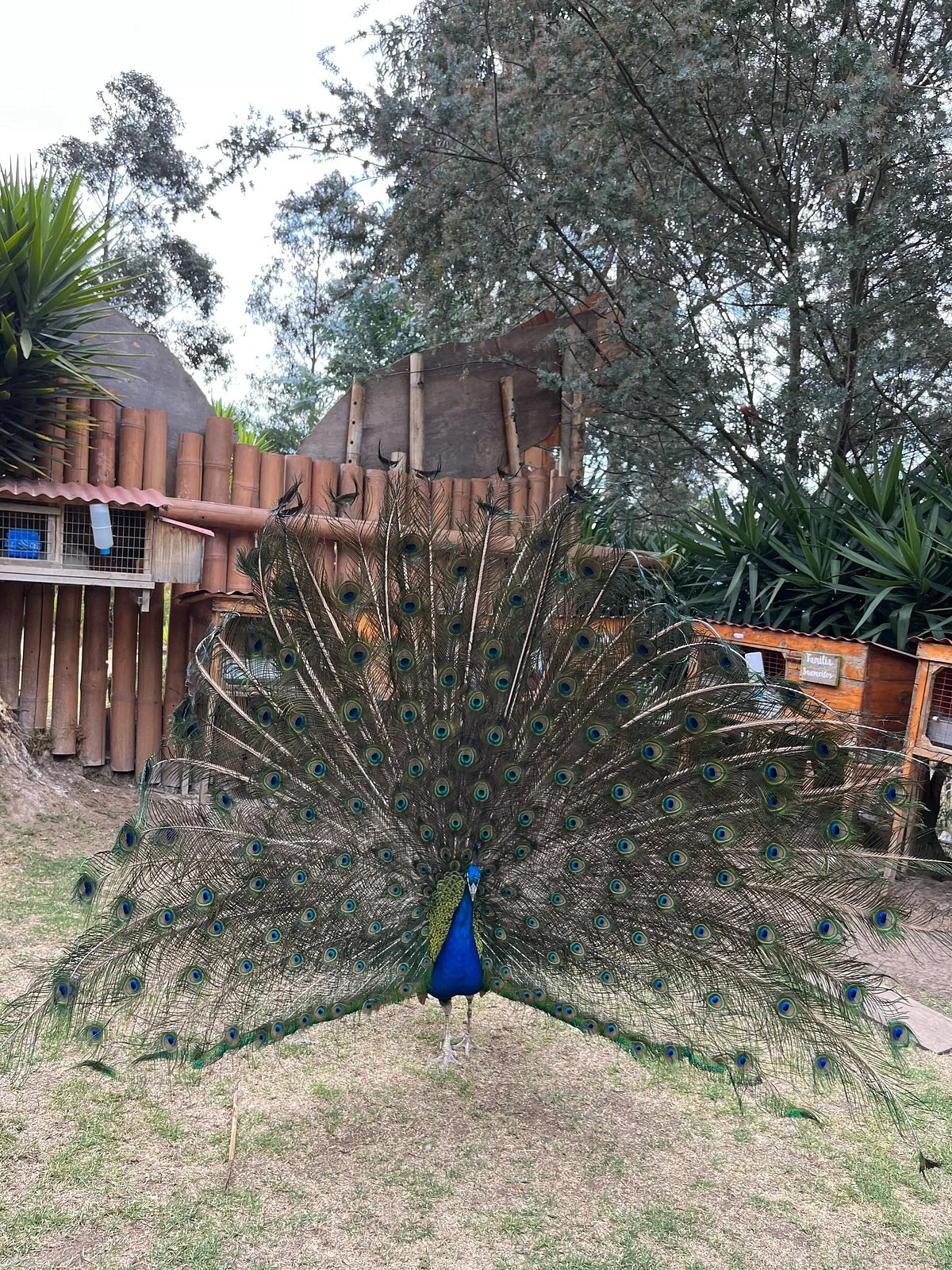 El Jardin Alado