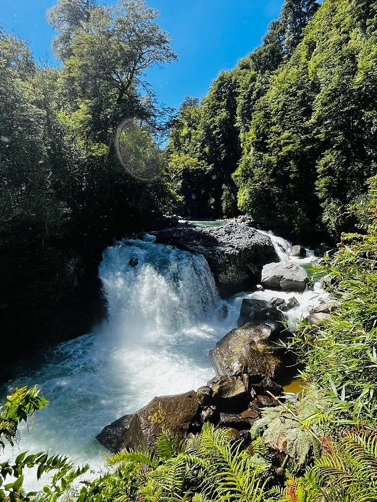 Parque Nacional Puyehue