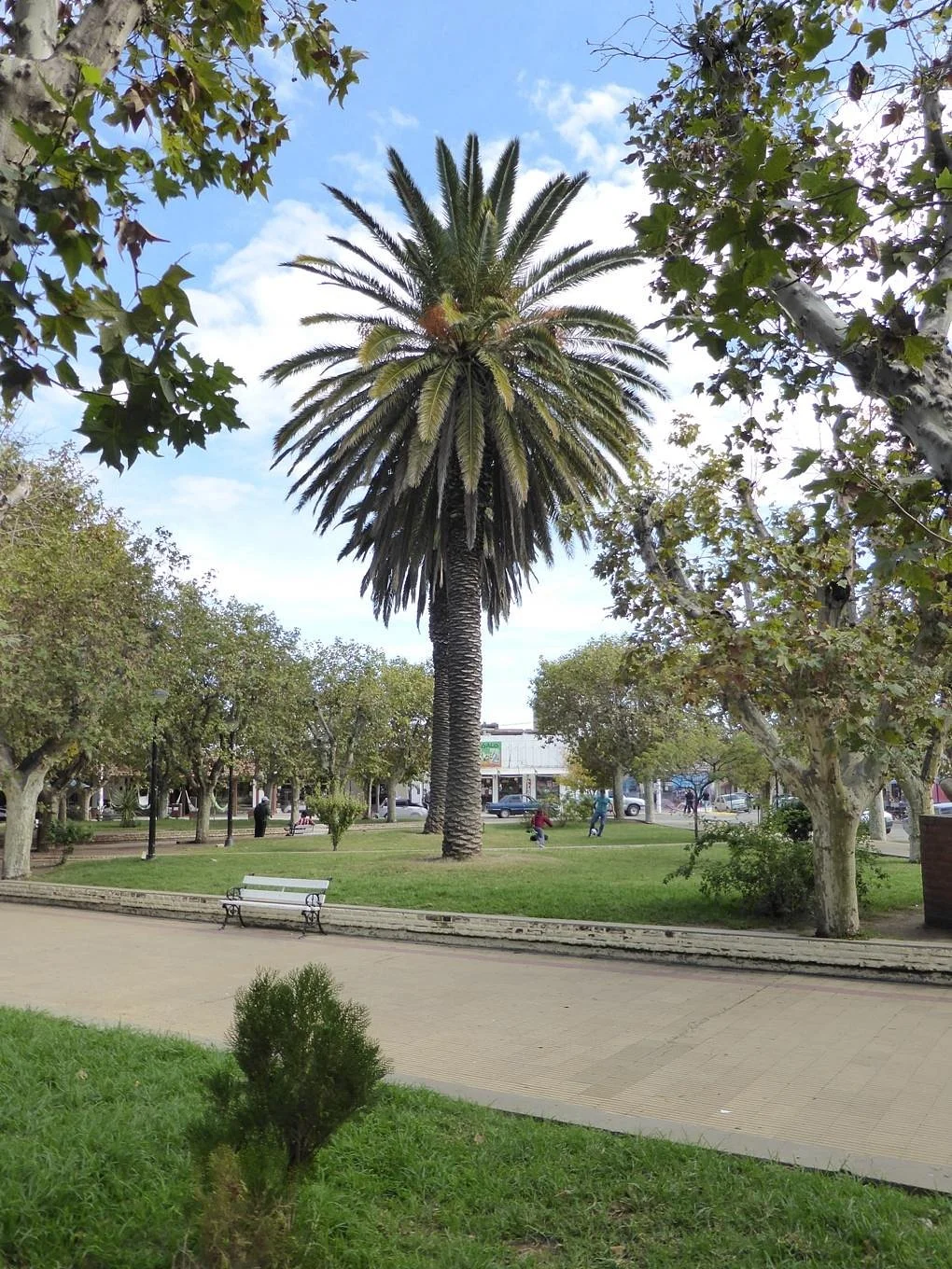 Plaza Marques de Sobremonte