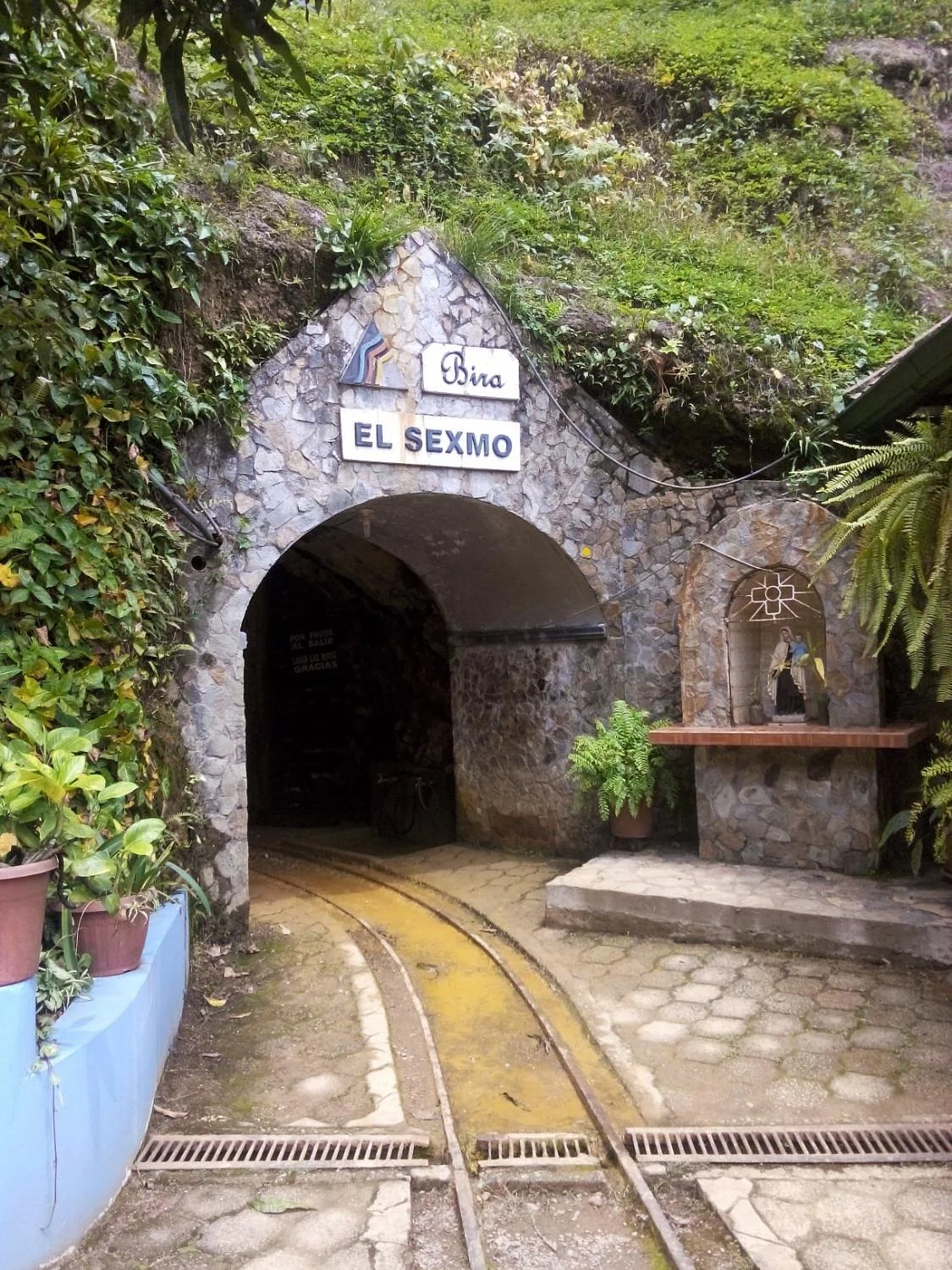 Mina El Sexmo