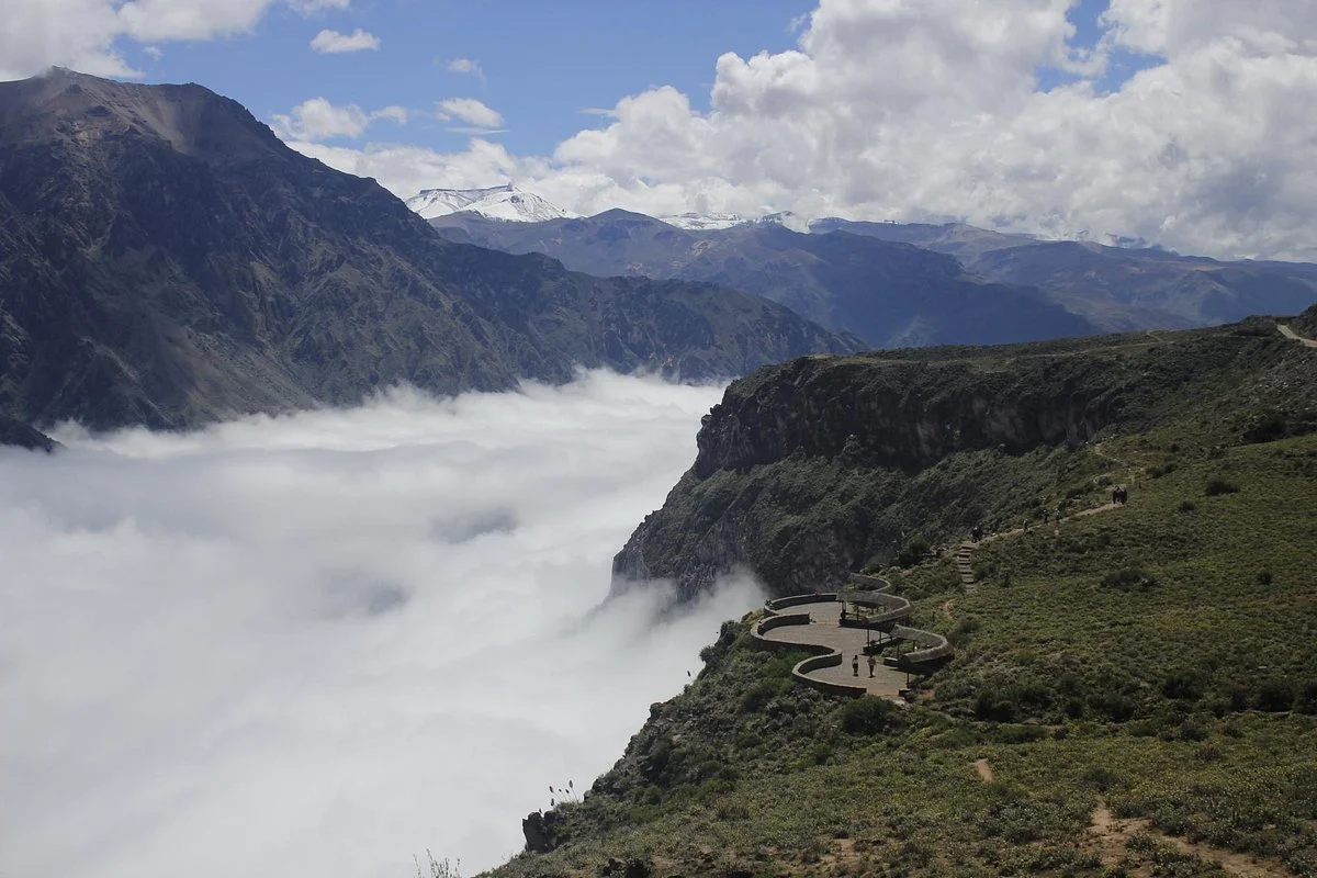 Condor's Cross