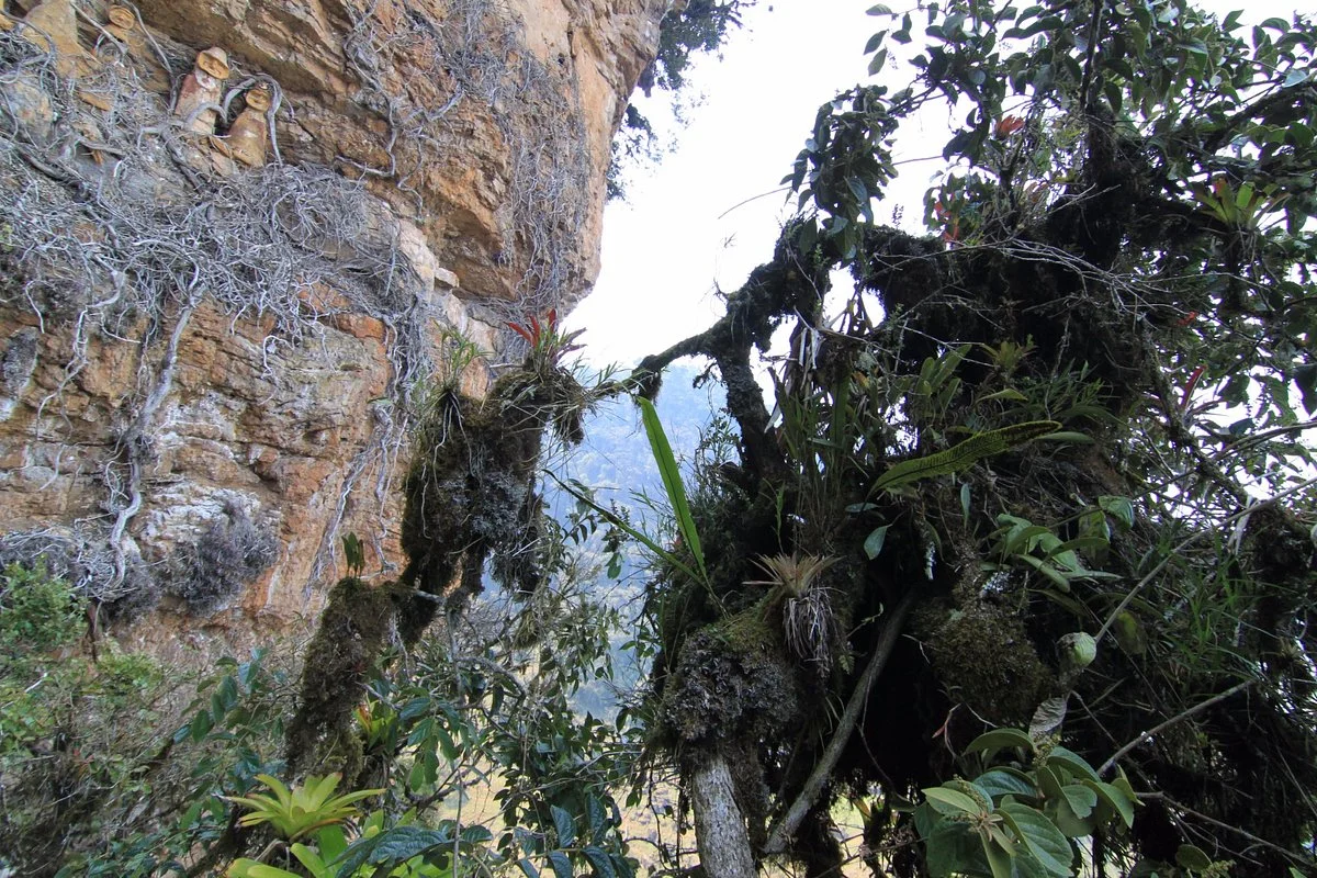 Sarcofagos de Karajia