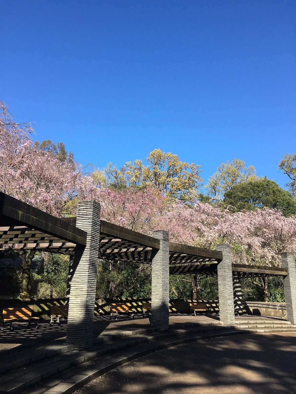 Kazenosanpomichi