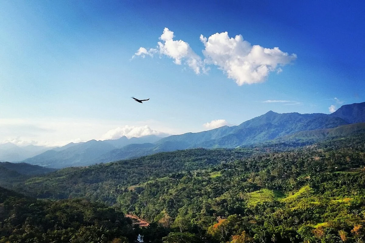 Fabrica de Chocolates Orquidea