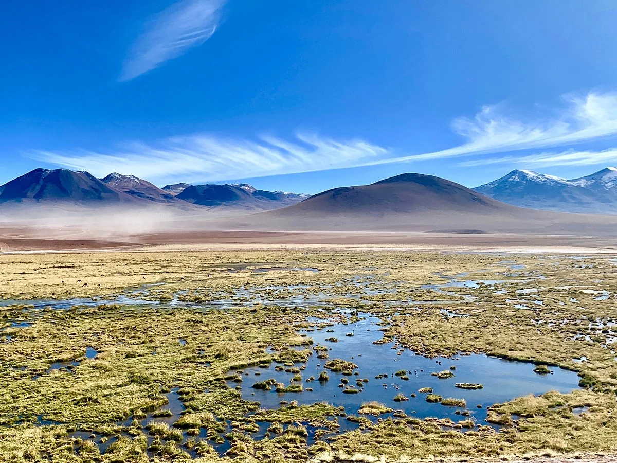 Atacama Dessert