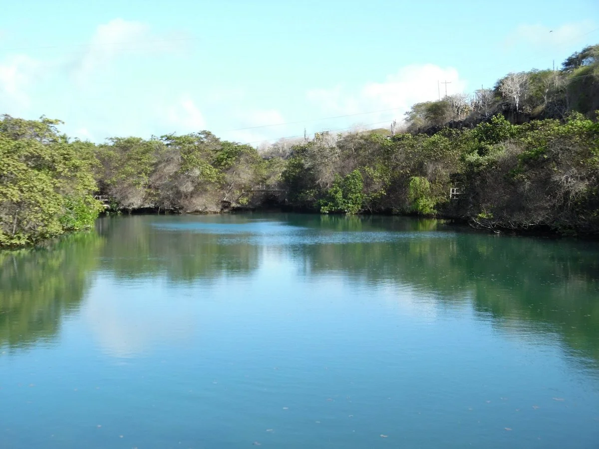 Laguna las Ninfas