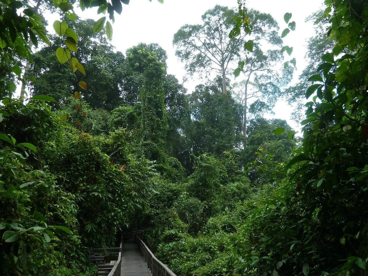 Sandakan Rainforest Park