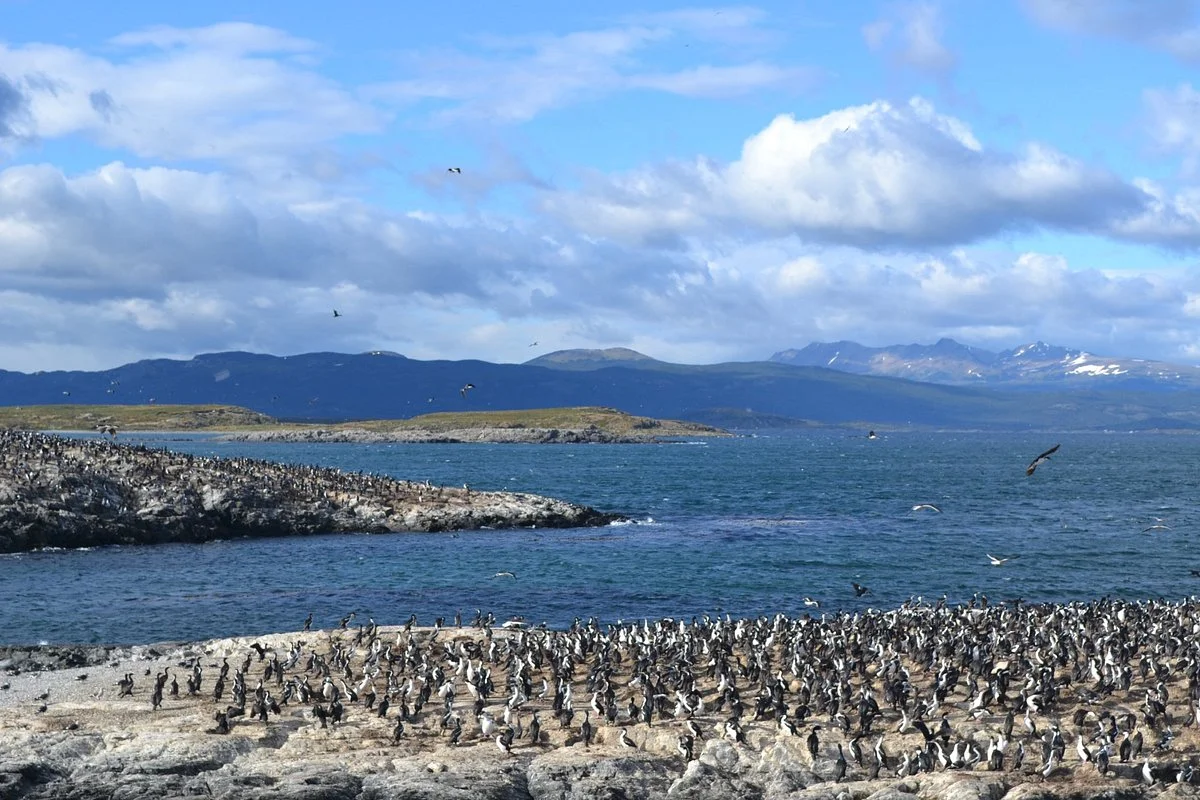 Isla de Los Pajaros