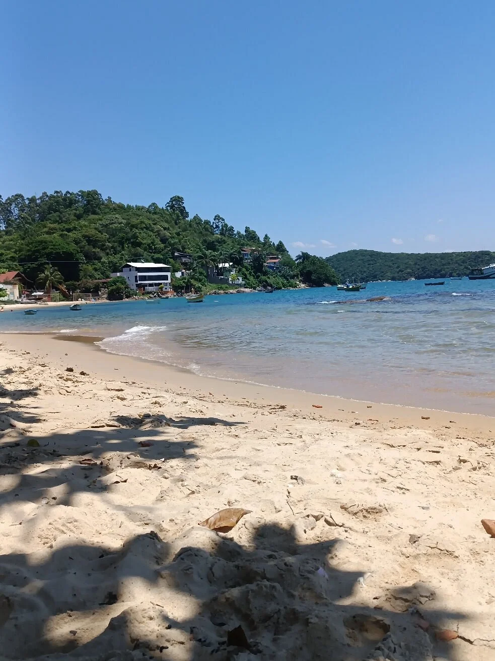 Araca Beach