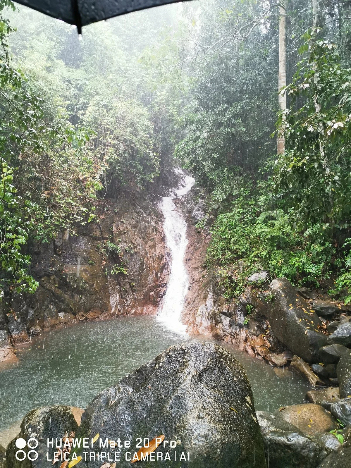 Taka Melor Amenity Forest