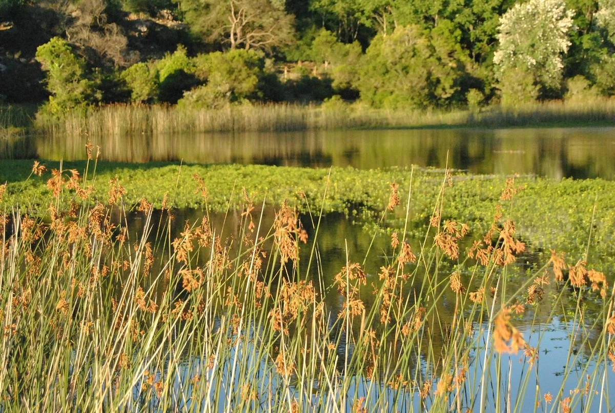 Salus' Park