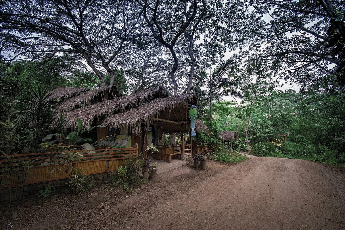 Rio Muchacho Organic Farm