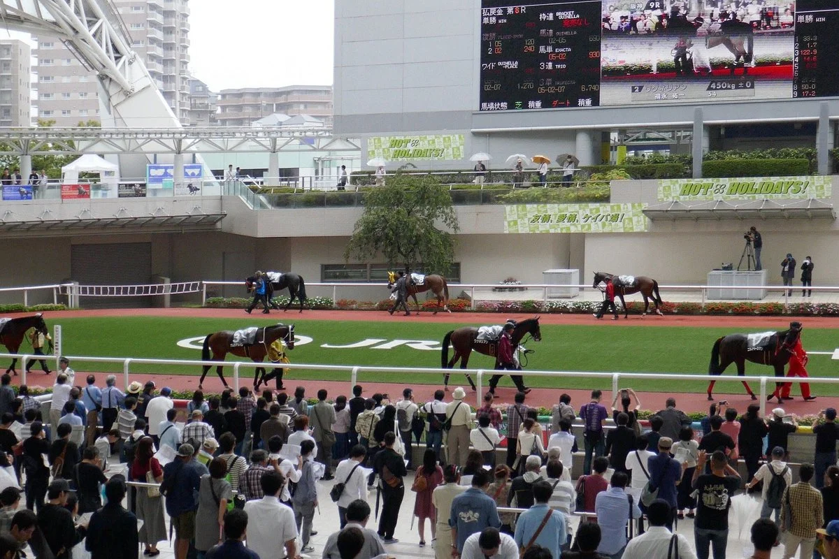 Hanshin Horse Racetrack