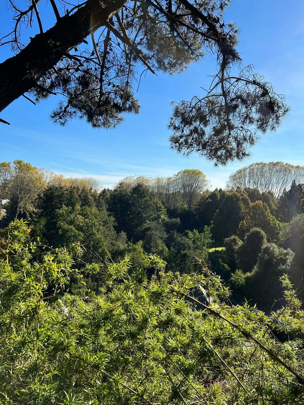 Parque Jorge Alessandri