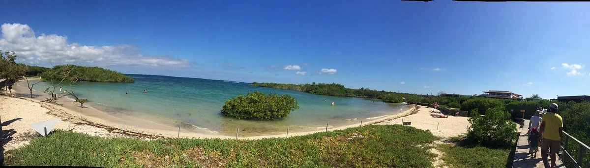 Playa de los Alemanes
