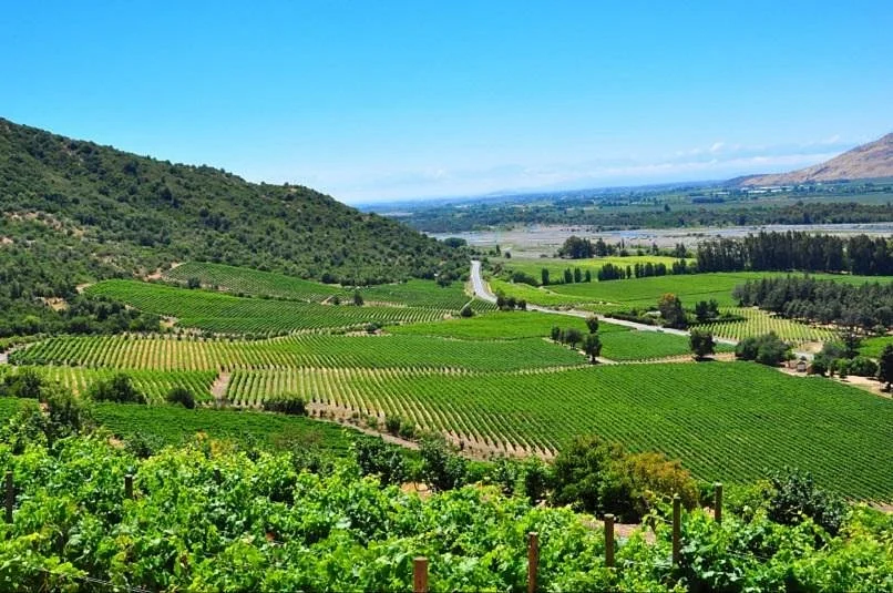 Vina Las Pitras