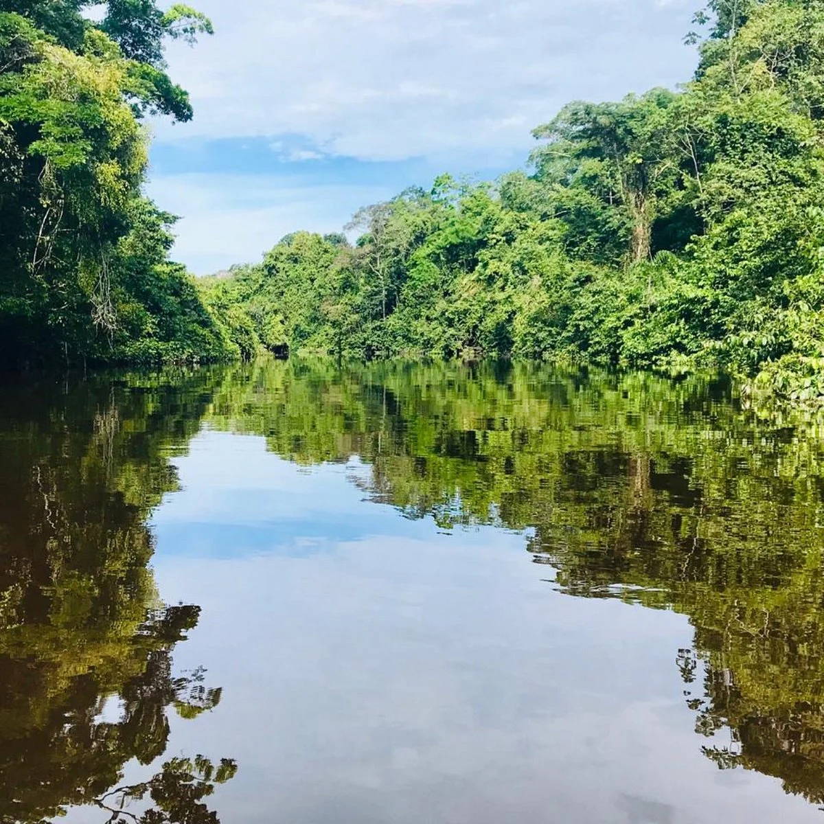 Pacaya Samiria National Reserve