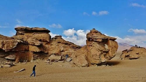 Arbol de Piedra