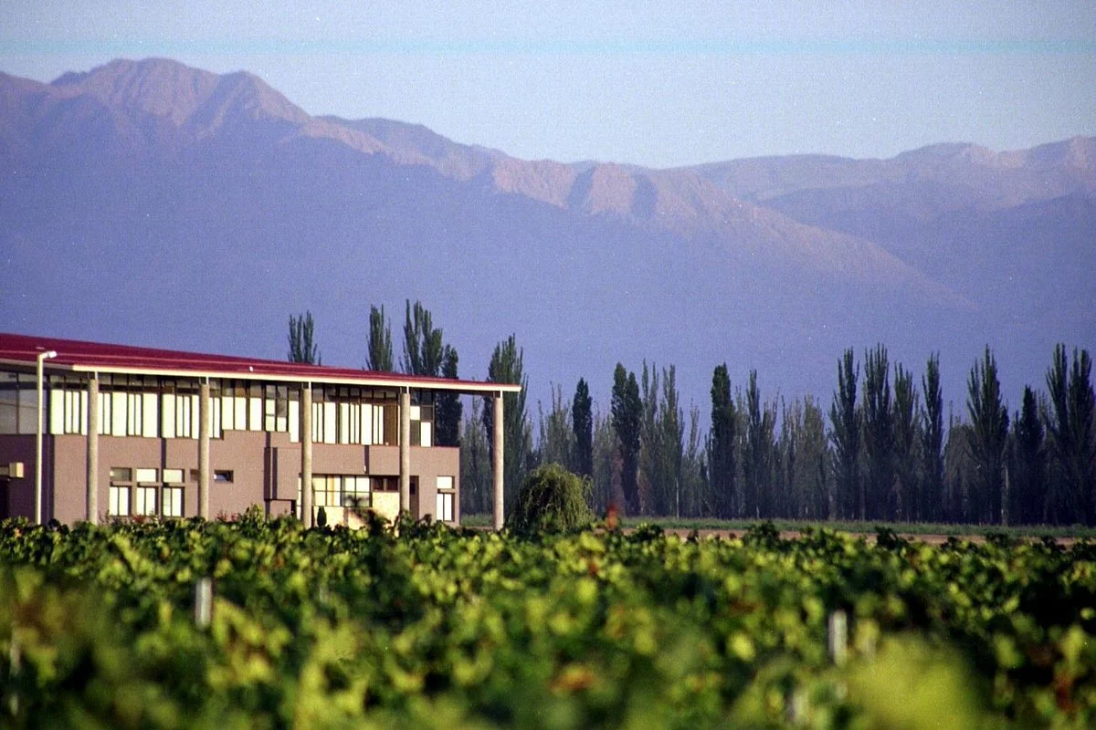 Tapiz Winery