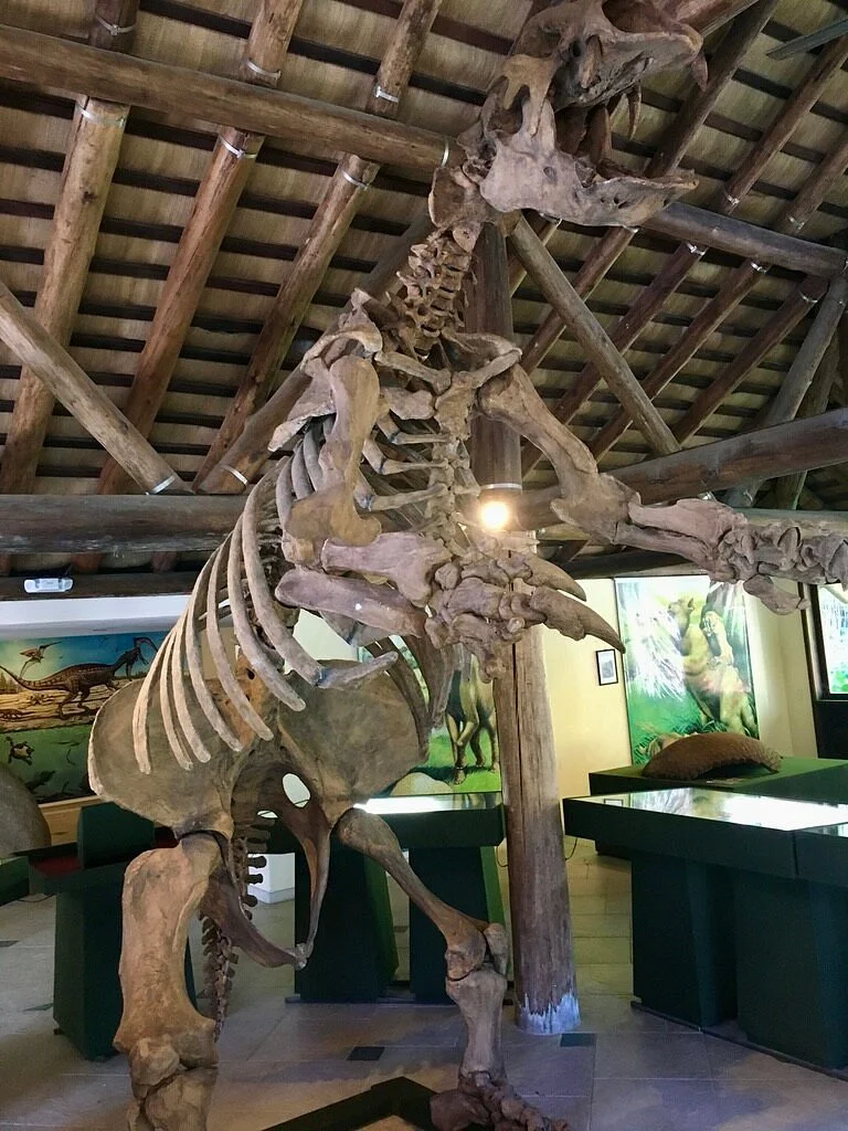 Univali EcoMuseum