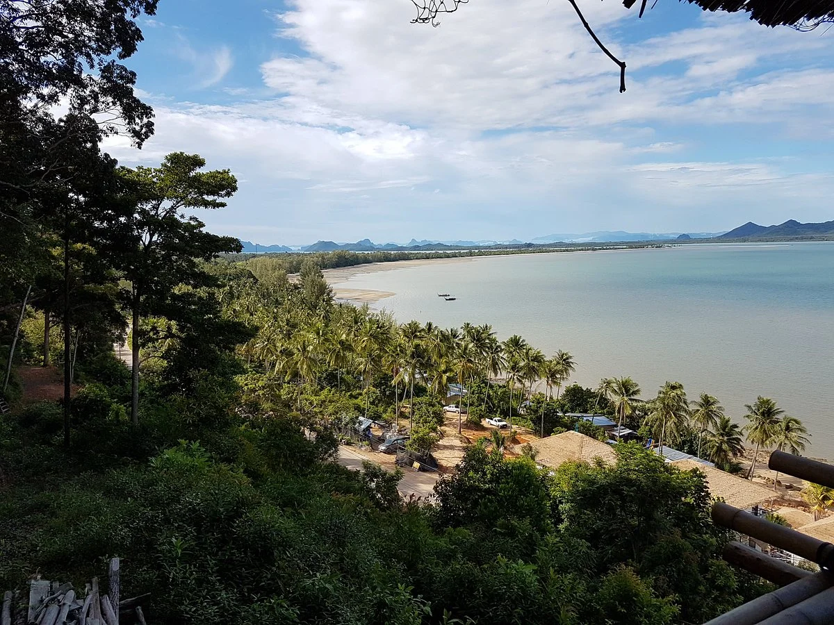 View Point