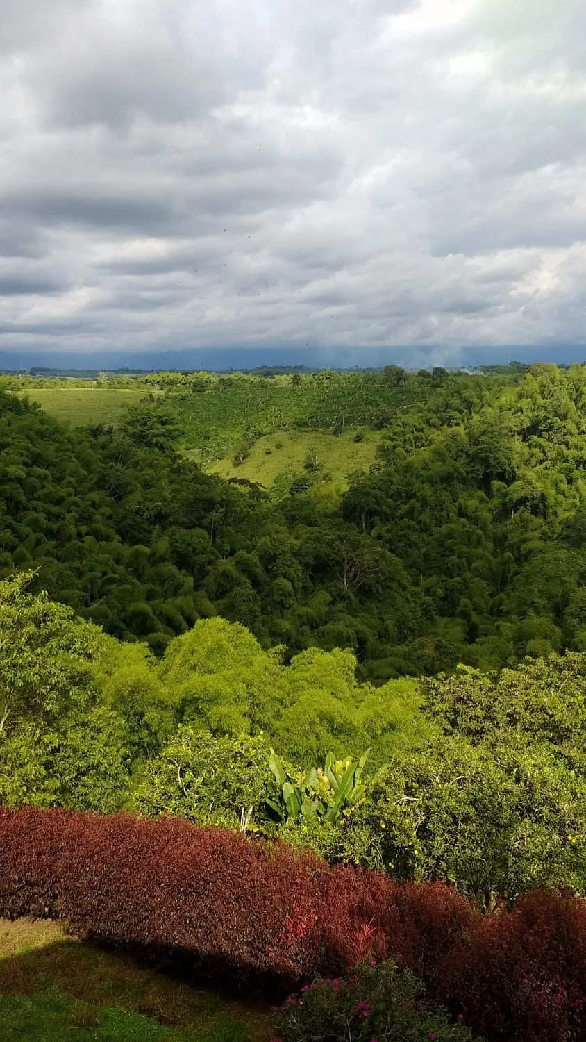 Parques Panaca