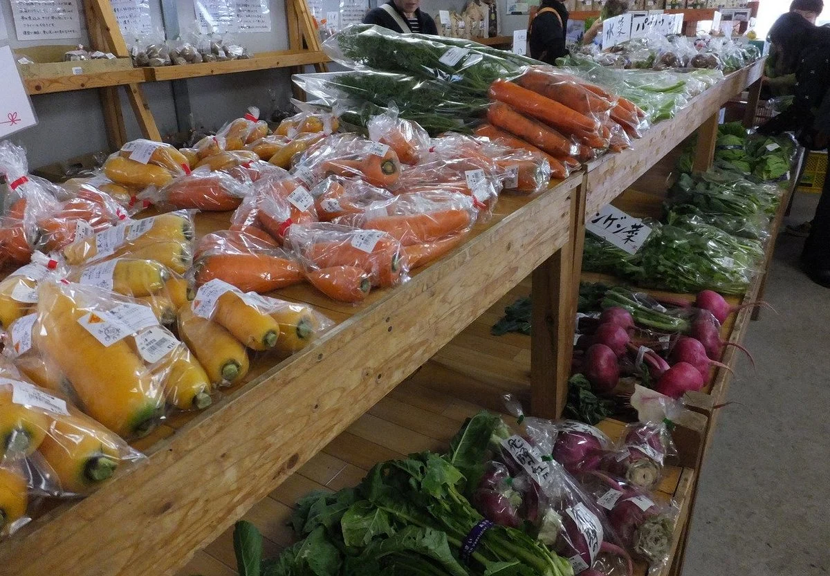 Panorama Market